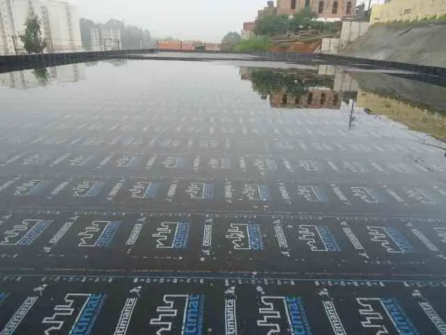 Imagem Ilustrando Chohan