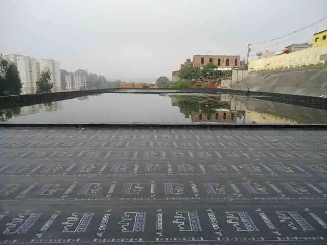 Imagem Ilustrando Chohan